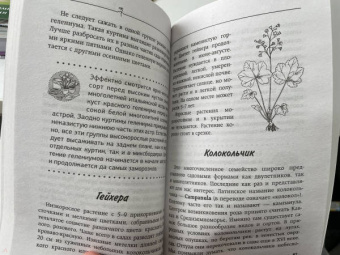 Галина Кизима: Неприхотливый цветник. Правила и советы для начинающих