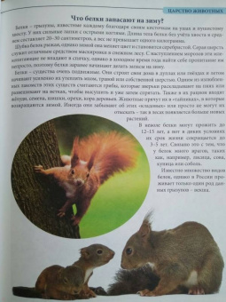 Людмила Соколова: Что? Где? Почему?