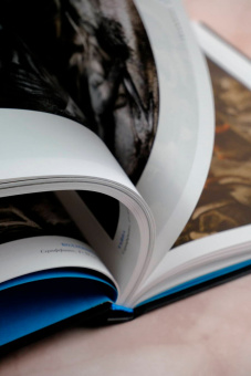 Сантьяго Карузо: Materia oscura. Темная материя