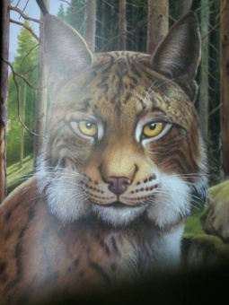 Хольгер Хааг: Лесные животные в натуральную величину