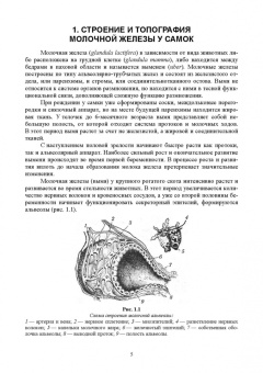 Федотов, Авдеенко, Белозерцева: Ветеринарная маммология. Учебник