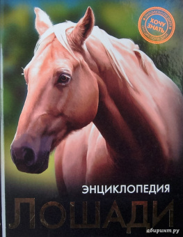 Леся Калугина: Хочу знать. Лошади