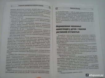 Басангова, Мартыненко, Баранова: Специальная индивидуальная программа развития для детей с нарушением интеллекта