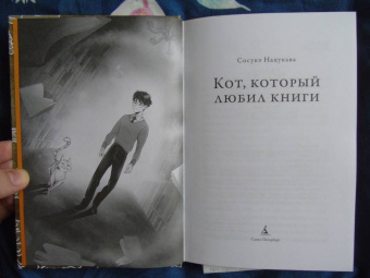 Сосукэ Нацукава: Кот, который любил книги:  ранобэ