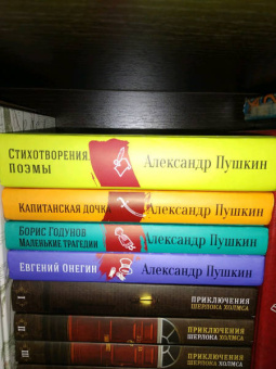 Александр Пушкин: Юбилейное издание А.С. Пушкина с иллюстрациями. Комплект из 4-х книг