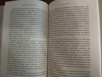 Джейми Крейнер: Блуждающий разум. Как средневековые монахи учат нас концентрации внимания, сосредоточенности