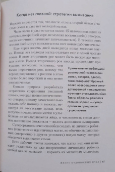 Фридрих Хайнбух: Пчелы. Что человек и пчела значат друг для друга