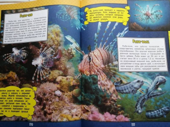 Ликсо, Кошевар: О подводном мире