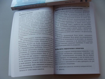 Дайк Ван: Как усмирить бурю эмоций. Навыки диалектико-поведенческой терапии для управления эмоциями