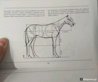 Рисуем лошадей. Альбом для скетчинга