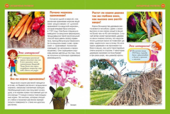 Тамара Скиба: Лучшая детская иллюстрированная энциклопедия. 1234 вопросов - 1234 ответов