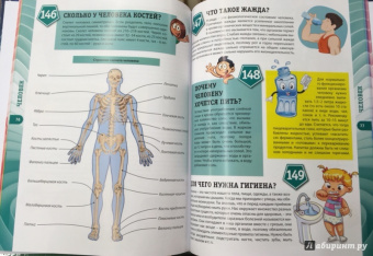 Тамара Скиба: Энциклопедия для детей от 6 до 12 лет