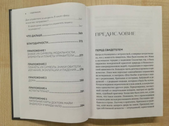 Чани Николас: Для чего вы пришли в этот мир. Астрология радикального принятия себя