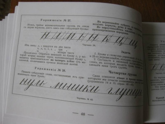 Курс каллиграфии и конторской скорописи. Книга 1