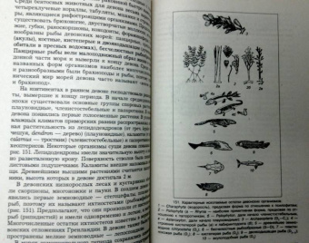 Савельева, Козаренко: Геология. Методы реконструкции прошлого Земли. Основы геотектоники. Геологическая история. Часть 2