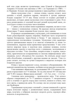 Лебедько, Лозовая, Аржанкова: Птицеводство в фермерских и приусадебных хозяйствах. Учебное пособие для вузов