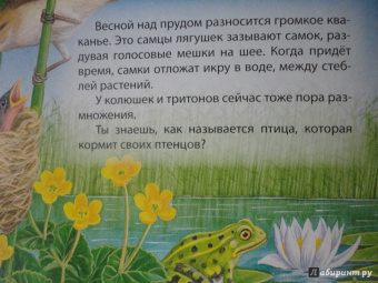 В пруду и у реки