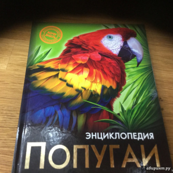 Ярослава Соколова: Попугаи