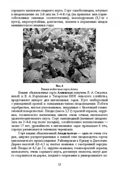 Константин Лактионов: Частное плодоводство. Косточковые культуры. Учебное пособие для СПО
