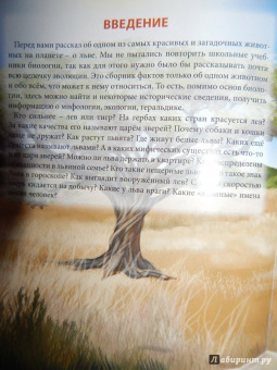 Владислав Щербак: Хочу знать. Львы