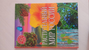 Растительный мир России. Популярная детская энциклопедия