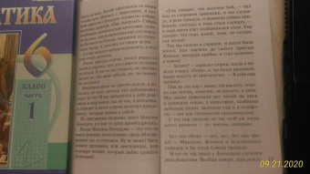 Устинова, Литвинова, Литвинов: Детектив-пикник