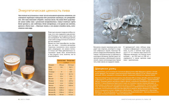 Каролина Гезий: Beer Expert. Пиво. Идеальный путеводитель по сортам, видам, рецептам