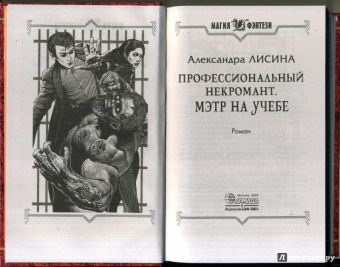 Александра Лисина: Профессиональный некромант 2. Мэтр на учебе