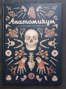 Дженнифер Пакстон: Анатомикум