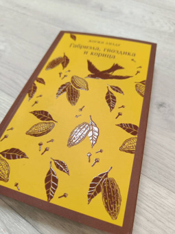 Жоржи Амаду: Габриэла, гвоздика и корица