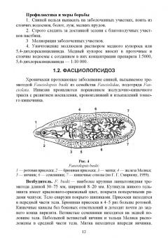 Далис Латыпов: Паразитарные болезни свиней. СПО