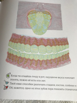 Айна Бестард: Что у меня внутри?