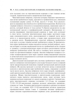 Михаил Пирадов: Неврологические орофациальные заболевания и синдромы. Руководство для врачей