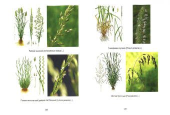 Уваров, Демидова: Кормопроизводство. Практикум