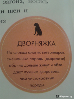 Дженнифер Холанд: Невероятная правда о дружбе:  47 историй в фотографиях об удивительной дружбе животных