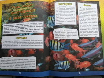 Ликсо, Кошевар: О подводном мире