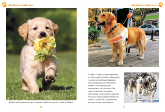 Наталья Куйе: Моя любимая книга о животных