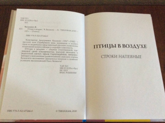 Константин Бальмонт: Птицы в воздухе