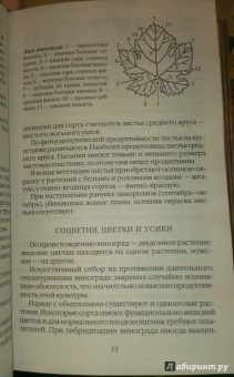 Тамара Руцкая: Полный справочник виноградаря. Особенности выращивания в России