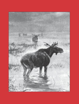 Олег Малов: Охота на парнокопытных