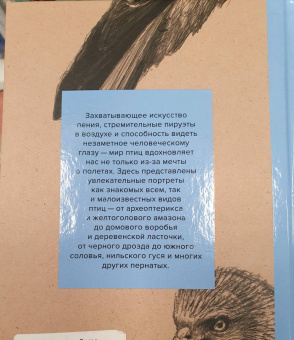 Ульрих Шмид: Птицы. Крылатые чудеса природы