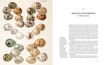 Тим Беркхед: Иллюстрированная история орнитологии