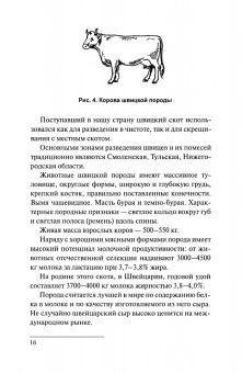Николай Полянцев: Практикум по содержанию и эффективному использованию молочных коров. Учебное пособие для СПО