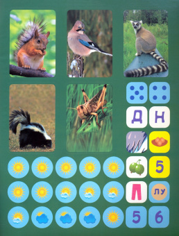 Наталья Литвиненко: Всеядные. Сборник развивающих заданий с наклейками. Загадки, пословицы, скороговорки