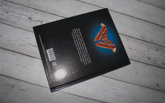 Людмила Соколова: Энциклопедия. Бабочки