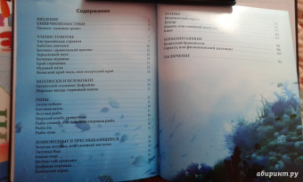 Ольга Тяжлова: Удивительные животные