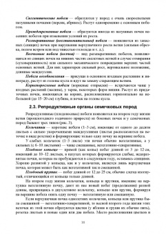 Кривко, Турчин, Фалынсков: Плодоводство. Учебник для СПО