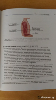 Анатомия стретчинга. Большая иллюстрированная энциклопедия