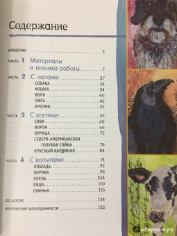 Джина Армфельд: Акварельные животные