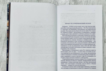 Джон Ирвинг: Мужчины не ее жизни